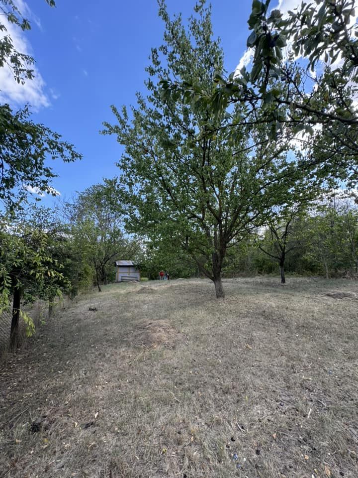 DE VANZARE Teren intravilan Comuna Daia,Jud Giurgiu - Poză 4