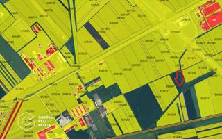 Teren extravilan agricol la pret corect 10.000 mp, Pecica - Poză 2