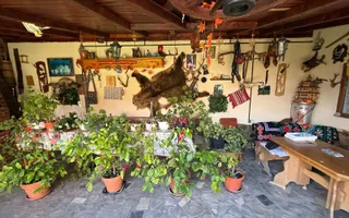 Vila S+P+1,+ garaj inchis + terasa si teren intravilan 6300 mp - Poză 31