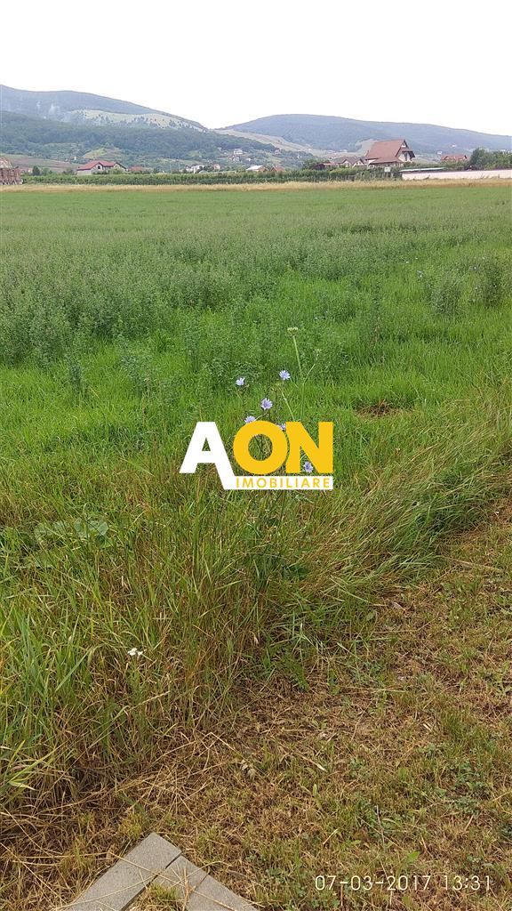 Teren pentru P+2 Alba-Micesti 3636 mp - Poză 3