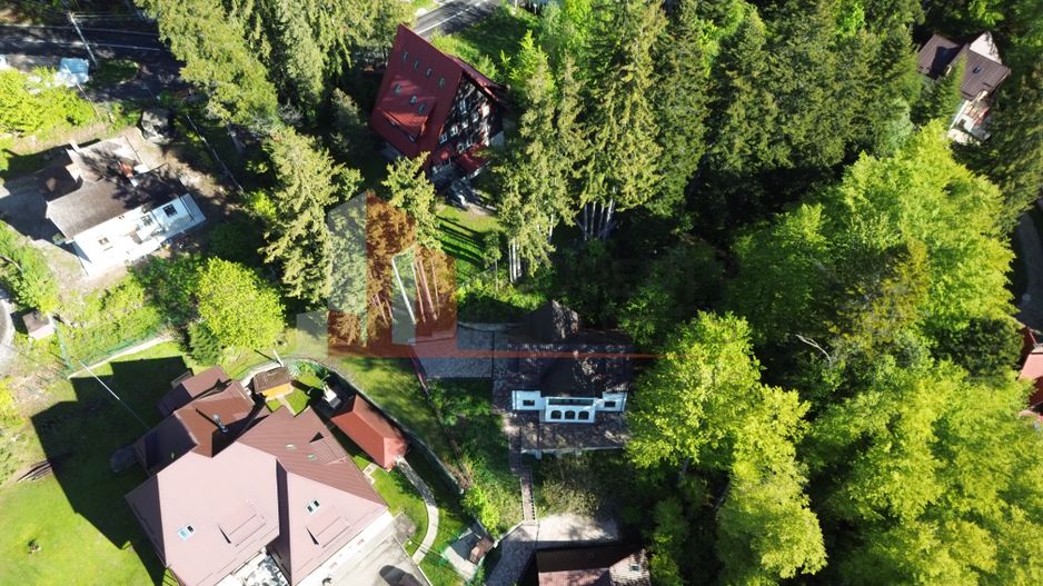 Vila Sinaia - Poză 2