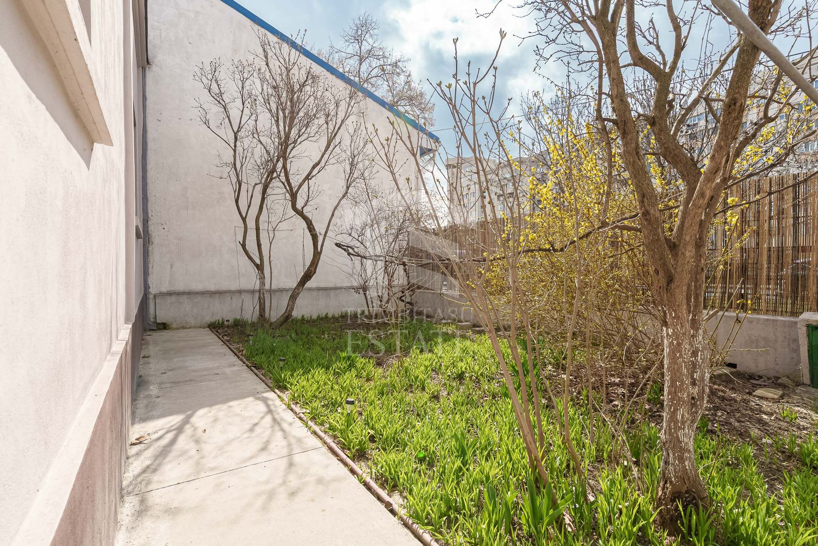 Piata Muncii - Decebal, casa 87 mp totali, 179 mp curte libera, - Poză 6