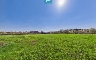 Teren intravilan 3024 mp, în comuna Almaș, Arad - Poză 5