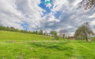 Casă cu teren de 17.681 mp, în loc. Hălmăgel, Arad - Poză 15