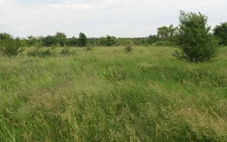 Teren Buftea cu iesire la lac - Poză 19