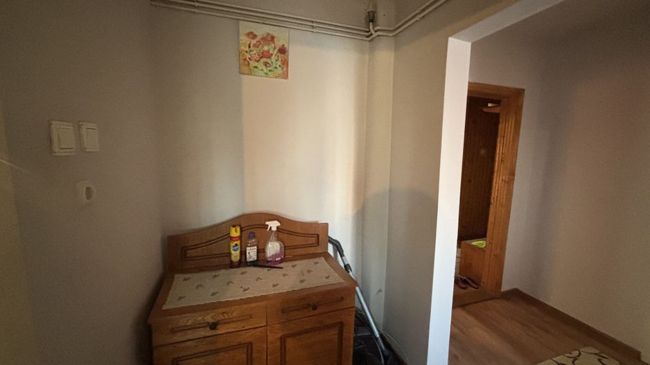 Spatios in zona Dambovita - Poză 13