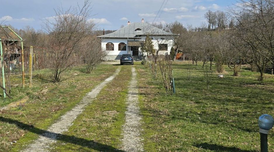 Proprietate de excepție în Lelești – la doar 8 km de Târgu Jiu - Poză 44
