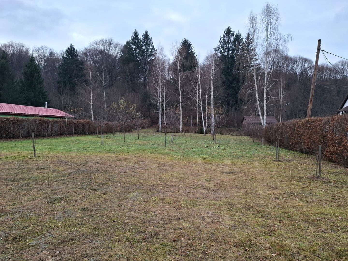 Teren deosebit pozitionat, cu livada, langa padure,  pe Valea Avrigului - Poză 5