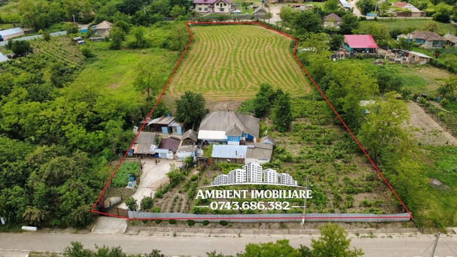 Casă tradițională în localitatea CĂLUGĂRENI - BÎRZEȘTI, la 17 km de Vaslui; - Poză 3