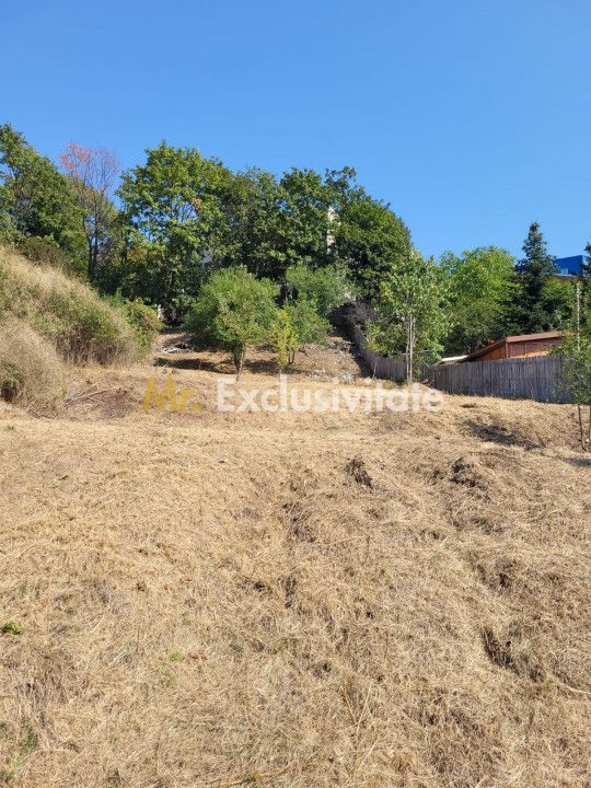 Teren intravilan Turcesti (Pitesti) - 1083 mp, demisol executat - Poză 2