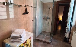 Apartament exclusivist in Vila ultracentral Timisoara - Poză 7
