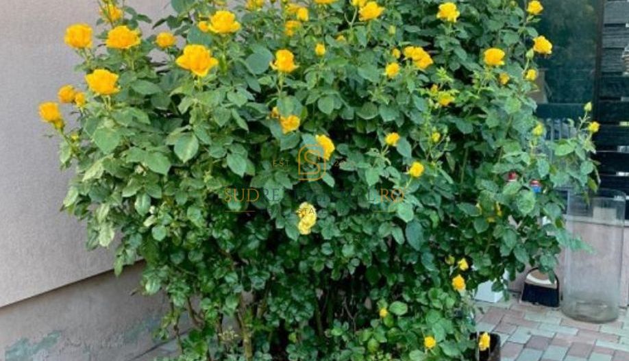 Vila individuala, teren 340 mp, Strada Tuberozelor, Comuna Berceni - Poză 6