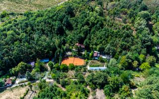 PROPRIETATE VÂNDUTĂ Casă conac cu 15.000 mp deal împădurit la Barațca, - Poză 14