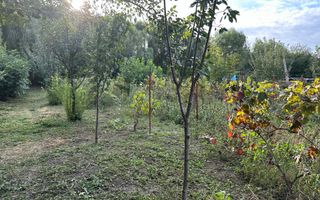 Casă individuală Buftea, 3.162 mp teren, ieșire spre lac - Poză 36