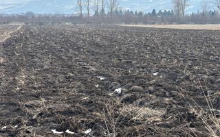 Teren Dancu deschidere la doua drumuri - Poză 6