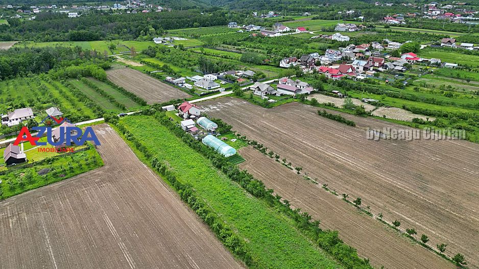 AZURA Imobiliare - Teren Mosoaia - Poză 5