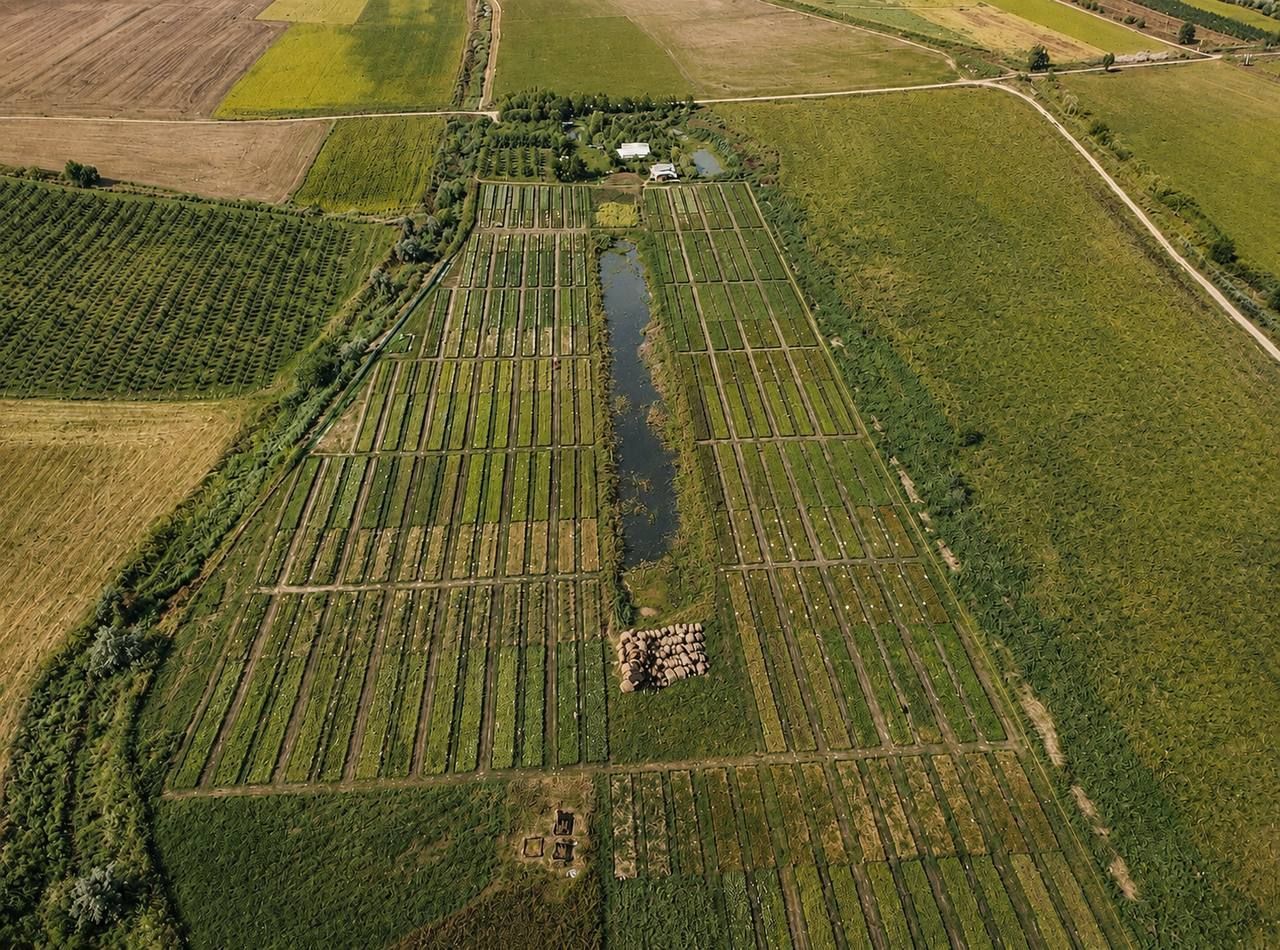 Teren agricol de vânzare – 6,8 hectare cu lac propriu și casă, Nisporeni - Poză 1