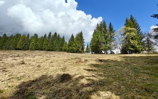 Teren intravilan, 3040 mp, Dealu Botii, com Belis, Comision 0 - Poză 2