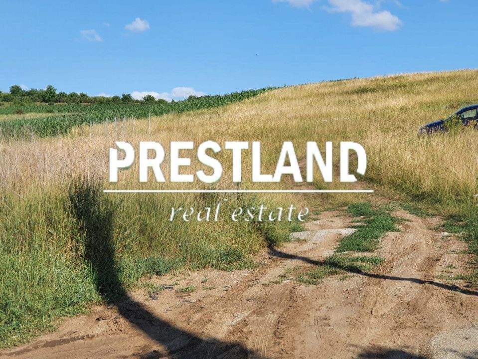 Teren intravilan, Șura Mare!! - Poză 2