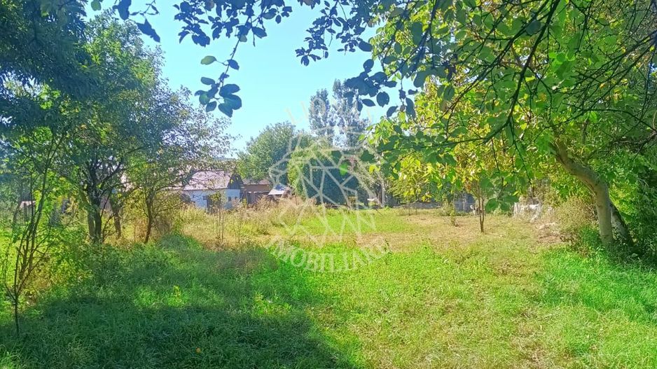 Casa la tara-teren 1521 mp+2 ha arabil-ideal casa Vacanta-Mintiu - Poză 6