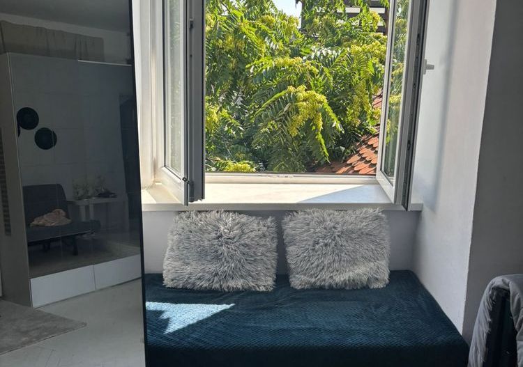Apartament 2 camere loft, Universitate, vila interbelică fără risc, mobilat. - Poză 2