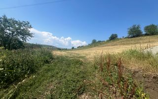 Teren Intravilan |5.000 MPU | Șura-Mare | - Poză 7