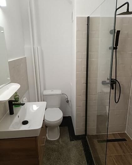 APARTAMENT ULTRACENTRAL ZONA  KOGALNICEANU - Poză 9