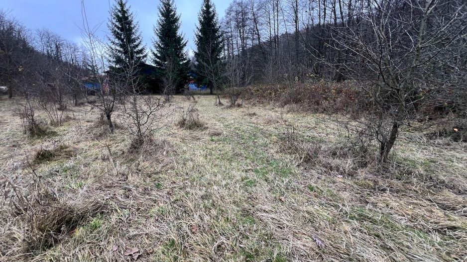 Teren intravilan 6.500 m²–Deschidere 144 ml drum european E81, km 35, Morăresti - Poză 1