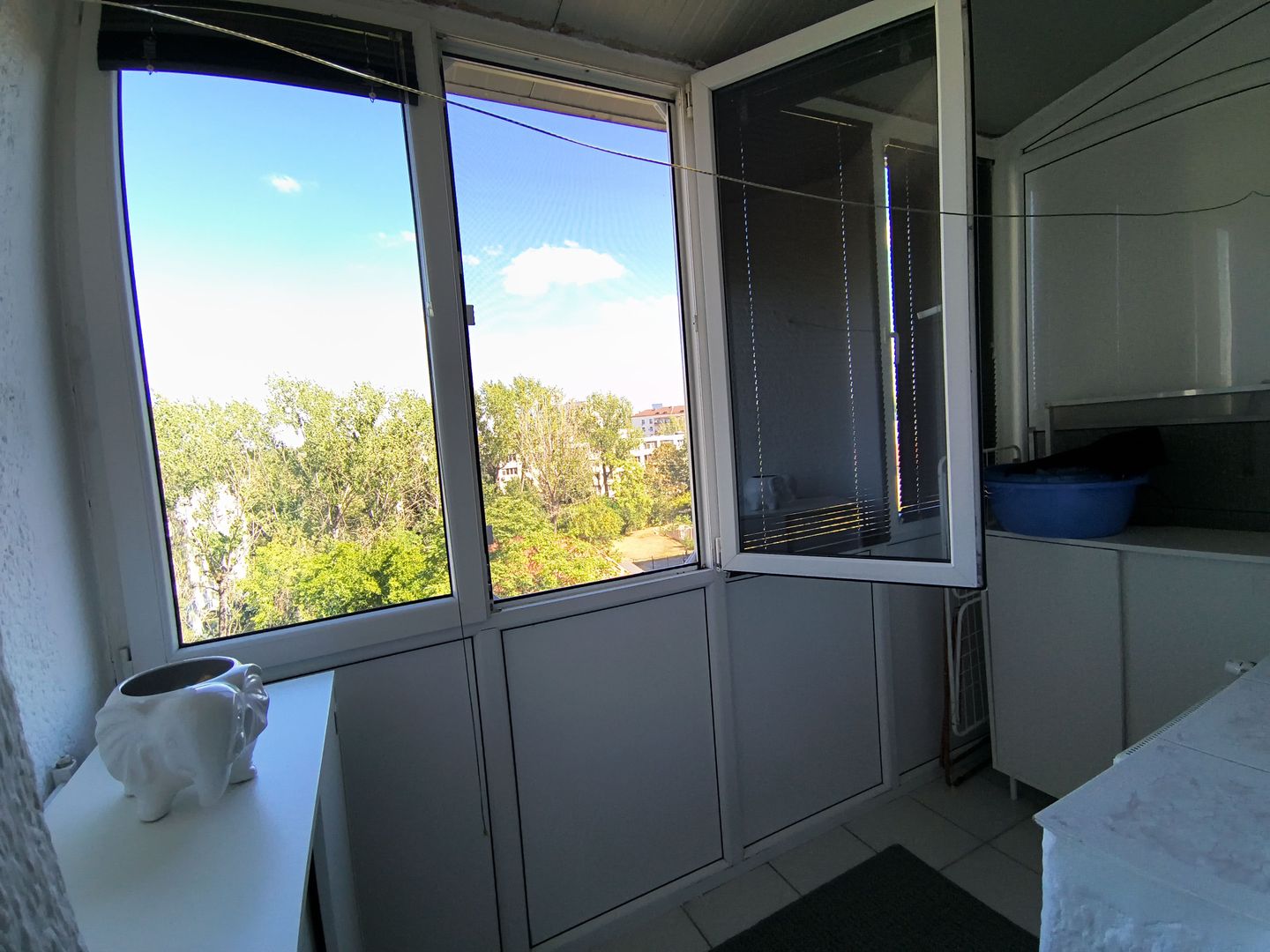 Domenii - Arcul de Triumf - Agronomie - Poză 8