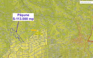 Pășune 11,3 ha – Vărădia, Caraș-Severin – 6.000 €/ha - Poză 2