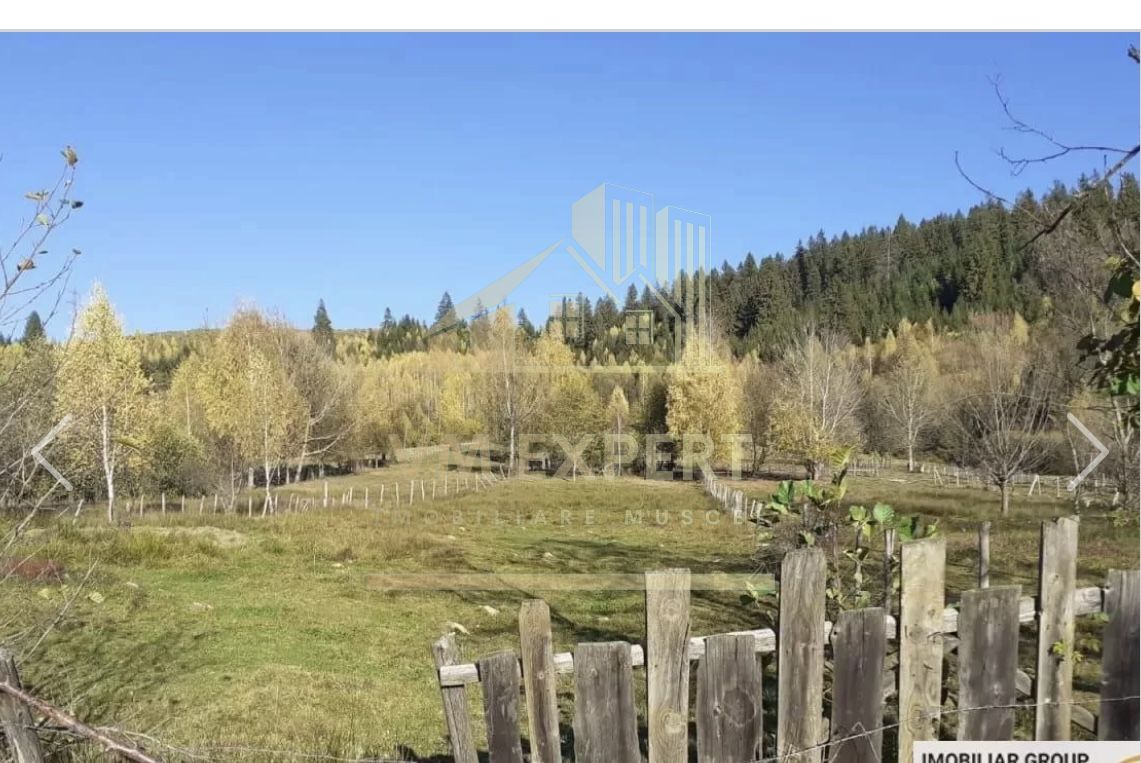 TEREN INTRAVILAN 2100 MP, LERESTI, PRET 42000 EURO - Poză 3