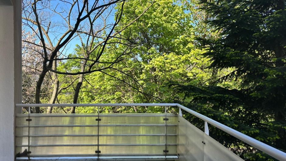 Apartament 4 Camere | Loc de Parcare | Herastrau - Poză 15