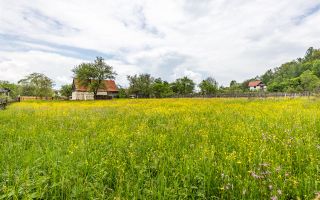 Casa traditionala + 8.500 mp teren, intravilan, Sinca Noua, Brasov - Poză 20