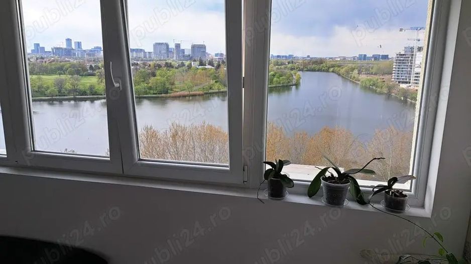 Apartament Fabrica de Gheata/Lacul Plumbuita - Poză 9