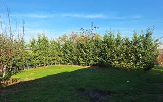 De vanzare | Casa cu etaj la cheie | Sarsig | Bihor - Poză 12