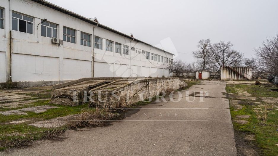 Teren 28.788m + Hale industriale + Sediu Firma - Poză 35