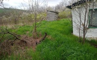 Casă și teren în Sat Cuza Vodă, comuna Popricani - Poză 4