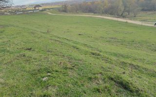 Teren extravilan | Zona Aeroport | 5600MP - Poză 4