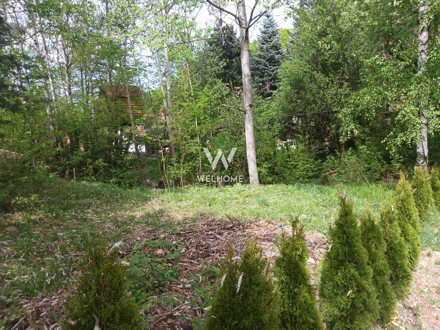 Teren pentru cabana, Marajdie deschidere la rau Gura Raului Sibiu - Poză 5