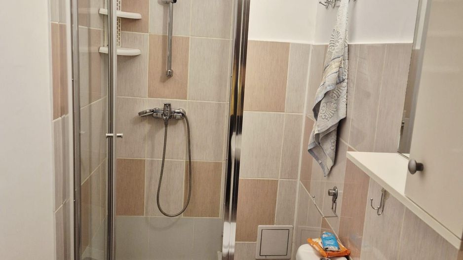 APARTAMENT 3 CAMERE DE INCHIRIAT |  RENOVAT |  GORJULUI - Poză 9