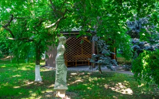 REȘEDINȚĂ DE EXCEPȚIE ÎN OTOPENI | 2.800 MP TEREN | ELEGANȚĂ, ARTĂ ȘI INTIMITATE - Poză 16
