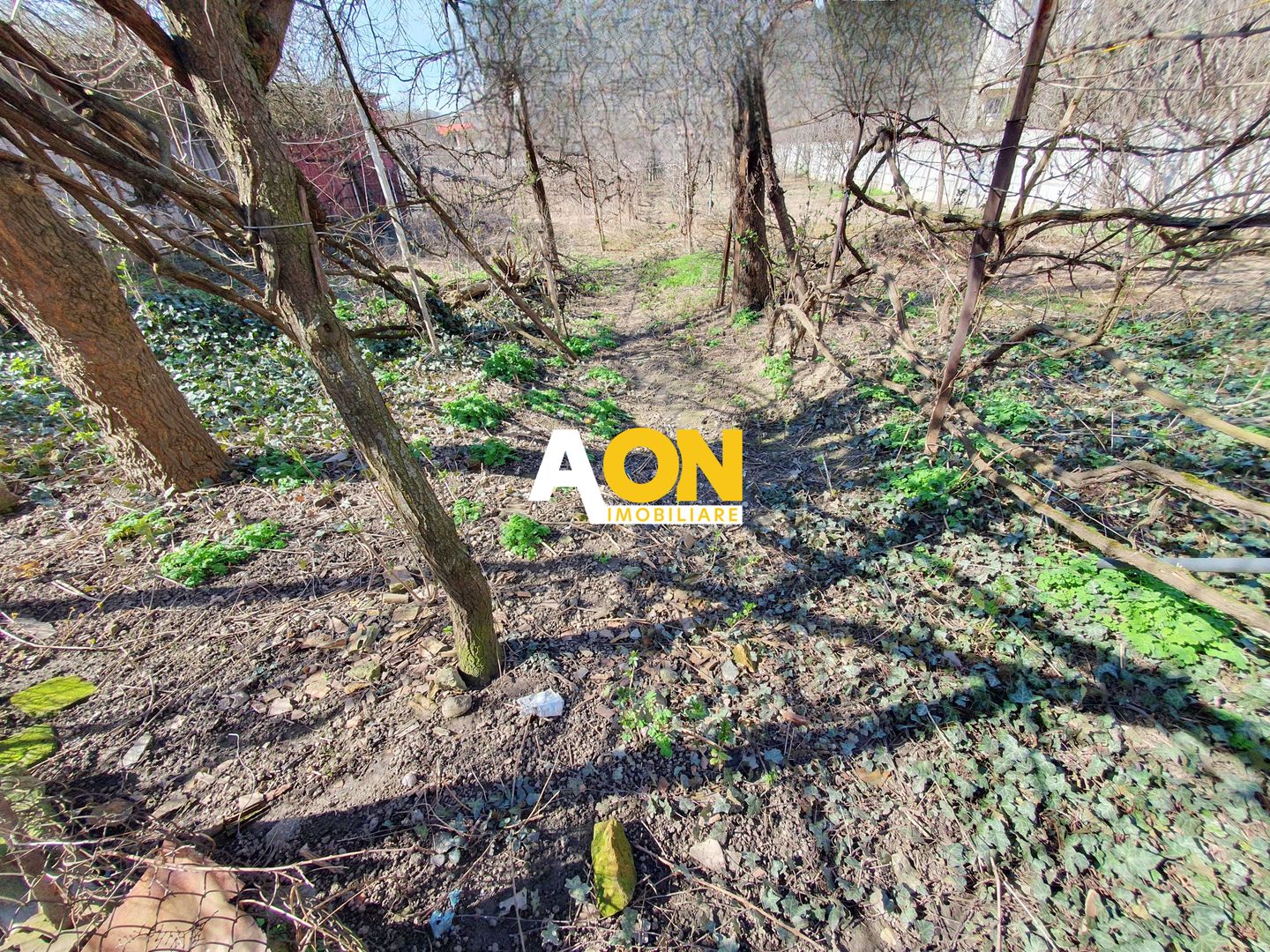 Casa veche, demolabila, 1.426 mp teren parcelabil, zona Maieri - Poză 2