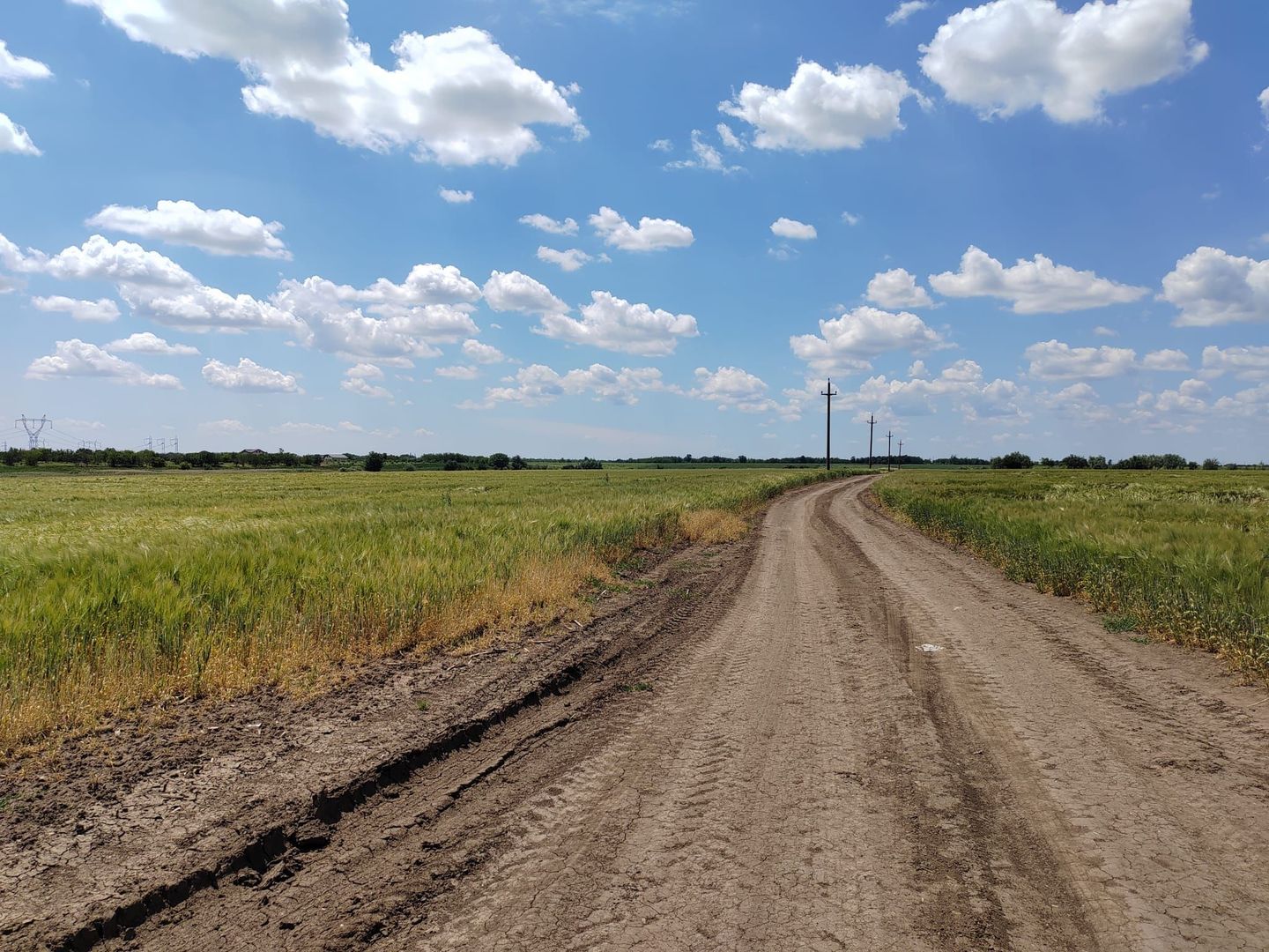 Frumusani Postavari 30 minute de Aparatorii Patriei super oferta 7 eur - Poză 1