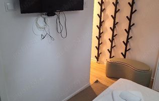 Vanzare garsoniera în  zona Piața Alba Iulia