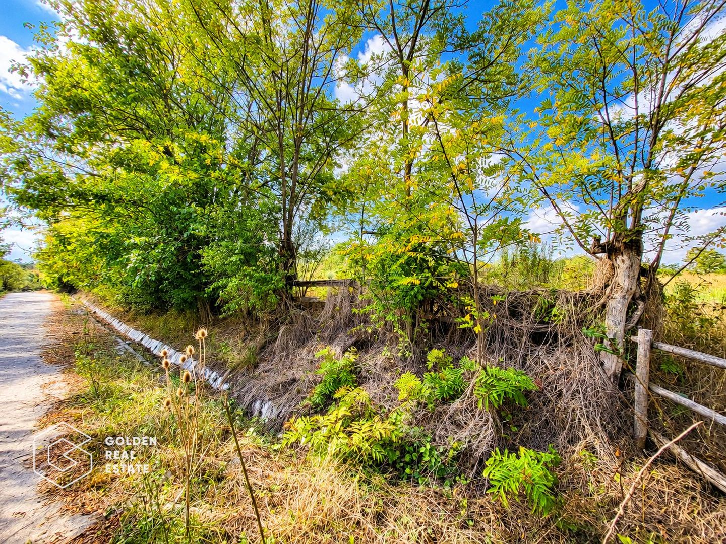 Teren intravilan, 1260 mp, localitate Ususau - Poză 4