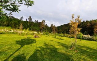 Teren cu PUZ - Tabara de Vacanta + Constructie Tiny Hous |  6 Cabane A-Frame