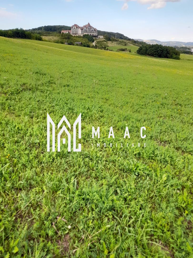 Teren | 1.500 MPU | Bradu - Poză 2