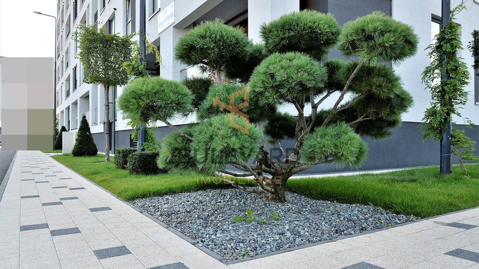 Penthouse de 135 mp+ terasa de 210 mp! - Poză 2