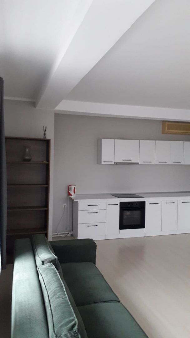 De inchiriat 2 apartamente cu 2 camere, etaj 1/2, strada Domneasca, 500 E - Poză 10
