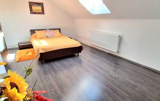 Apartament cu 2 camere, centrala proprie, aproape de Nokia, Iosefin